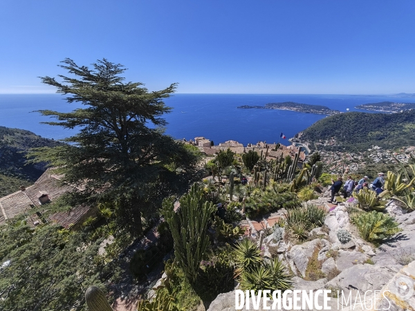 JARDIN EXOTIQUE de EZE - Illustrations 2024