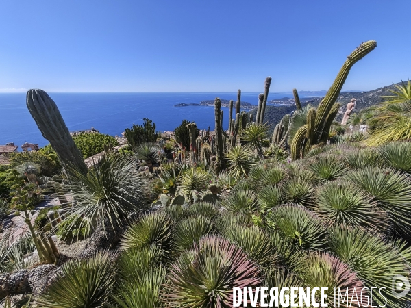 JARDIN EXOTIQUE de EZE - Illustrations 2024