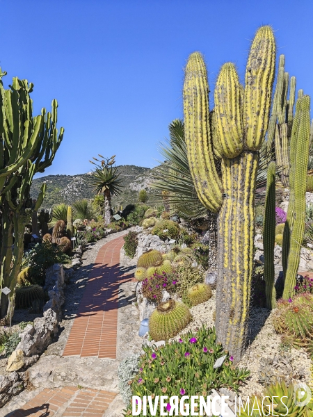 JARDIN EXOTIQUE de EZE - Illustrations 2024