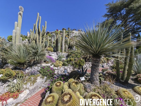 JARDIN EXOTIQUE de EZE - Illustrations 2024