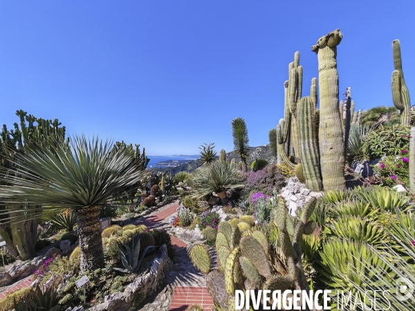 JARDIN EXOTIQUE de EZE - Illustrations 2024