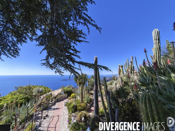 JARDIN EXOTIQUE de EZE - Illustrations 2024