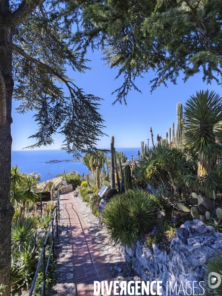 JARDIN EXOTIQUE de EZE - Illustrations 2024