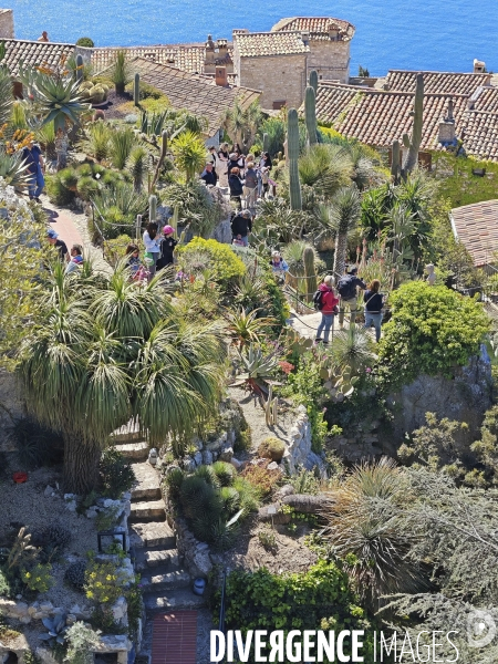 JARDIN EXOTIQUE de EZE - Illustrations 2024