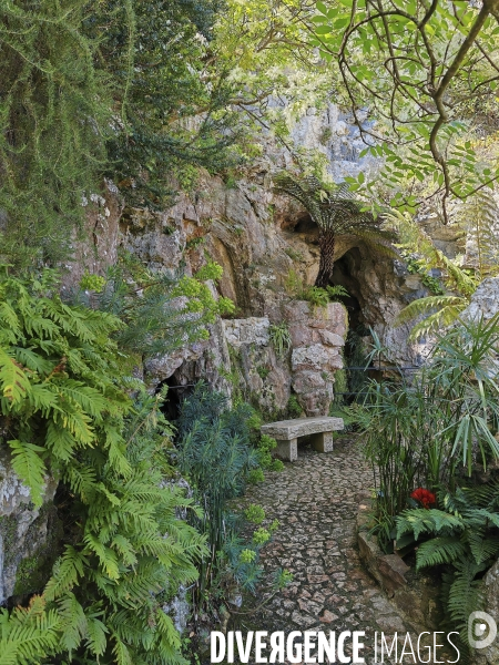 JARDIN EXOTIQUE de EZE - Illustrations 2024
