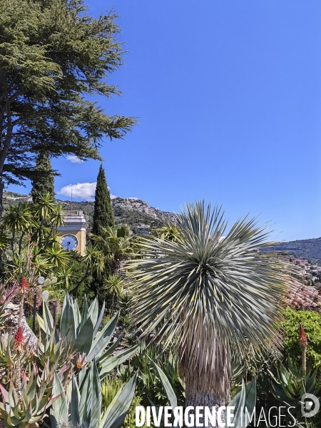 JARDIN EXOTIQUE de EZE - Illustrations 2024