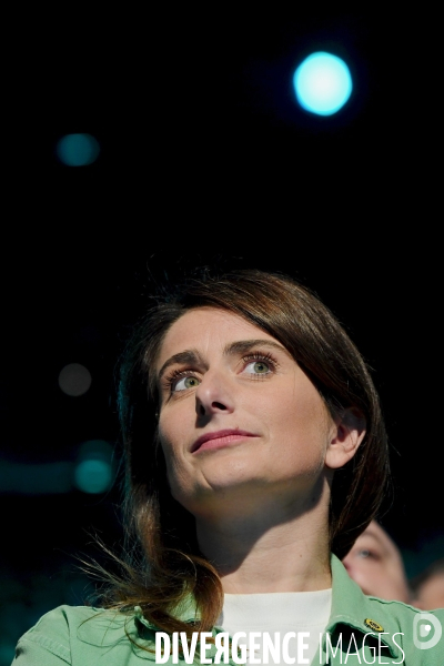 Elections européennes / Meeting des écologistes 
