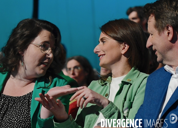 Elections européennes / Meeting des écologistes 