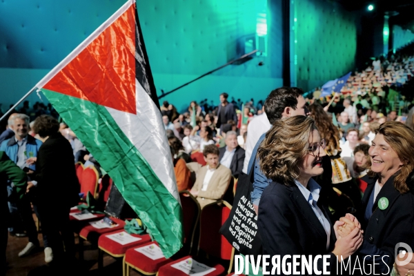 Elections européennes / Meeting des écologistes 