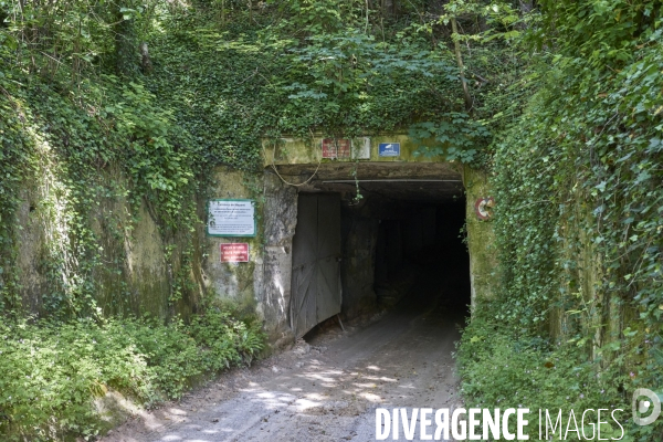 La carrière souterraine de pierre de Noyant, à Septmonts, Aisne, 3 juin 2024. 