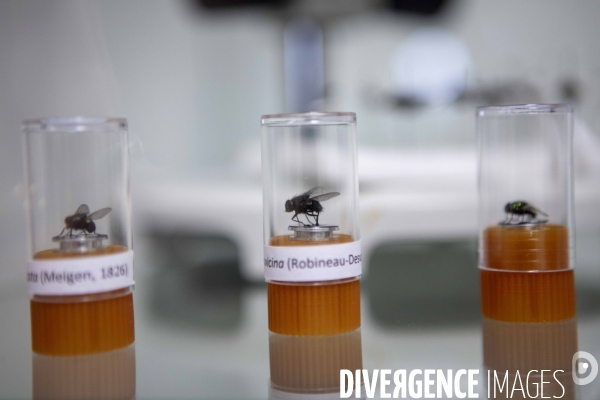 Genadarmerie scientifique ircgn