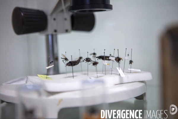 Genadarmerie scientifique ircgn
