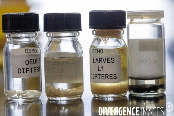 Genadarmerie scientifique ircgn