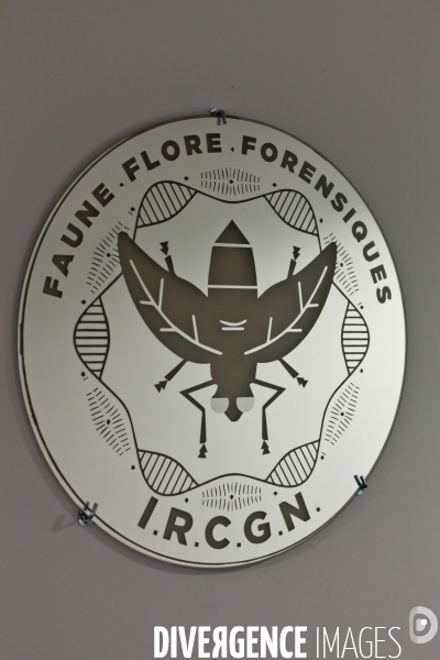 Institut de Recherche Criminelle de la Gendarmerie Nationale (L’IRCGN)