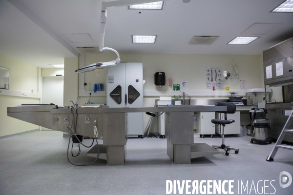 Genadarmerie scientifique ircgn