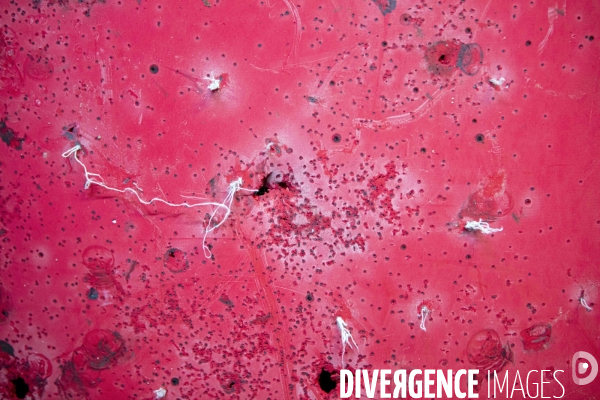 Genadarmerie scientifique ircgn