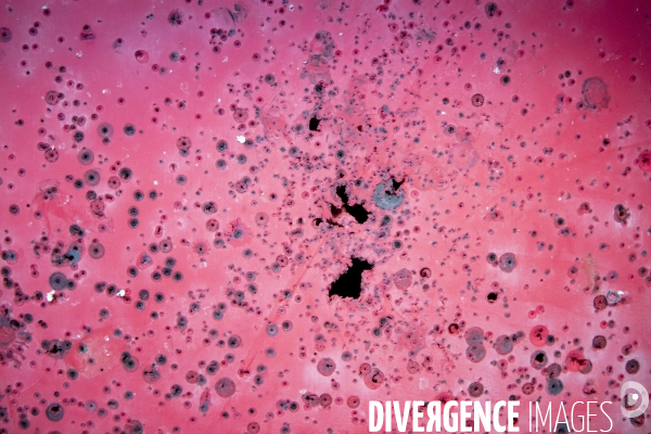 Genadarmerie scientifique ircgn