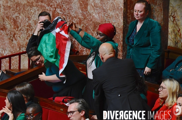 La députée LFI Rachel Kéké brandit un drapeau palestinien dans hemicycle de l’Assemblée Nationale