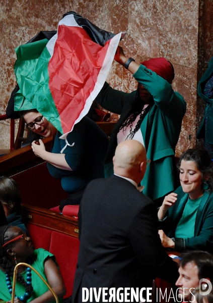 La députée LFI Rachel Kéké brandit un drapeau palestinien dans hemicycle de l’Assemblée Nationale