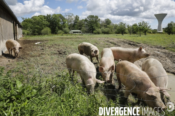 Sécurité Sociale de l Alimentation en Gironde - la MonA