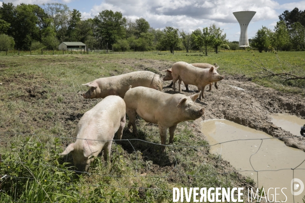 Sécurité Sociale de l Alimentation en Gironde - la MonA