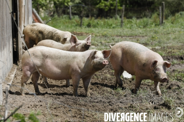 Sécurité Sociale de l Alimentation en Gironde - la MonA