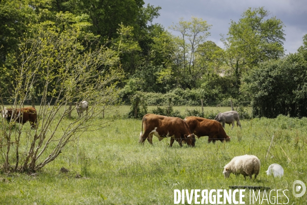 Sécurité Sociale de l Alimentation en Gironde - la MonA