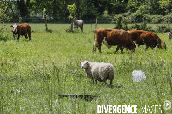 Sécurité Sociale de l Alimentation en Gironde - la MonA