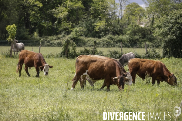 Sécurité Sociale de l Alimentation en Gironde - la MonA