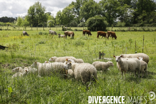 Sécurité Sociale de l Alimentation en Gironde - la MonA