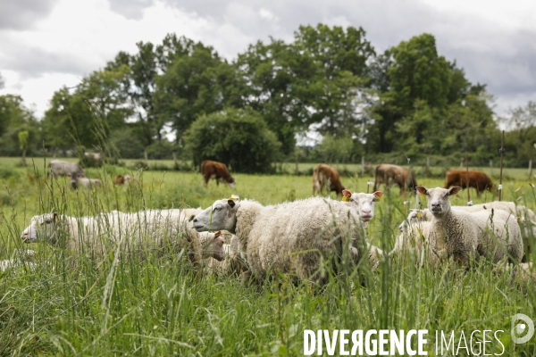 Sécurité Sociale de l Alimentation en Gironde - la MonA