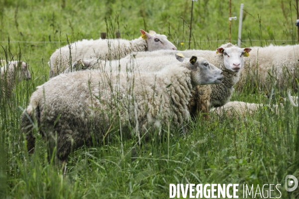 Sécurité Sociale de l Alimentation en Gironde - la MonA