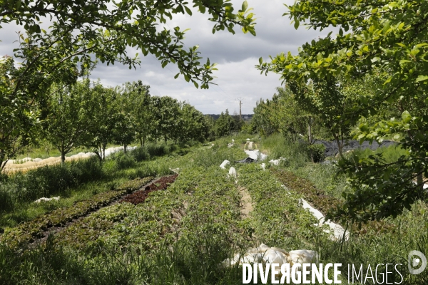 Sécurité Sociale de l Alimentation en Gironde - la MonA