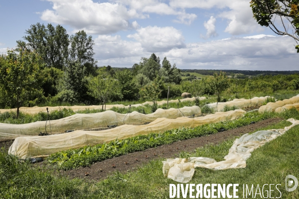 Sécurité Sociale de l Alimentation en Gironde - la MonA