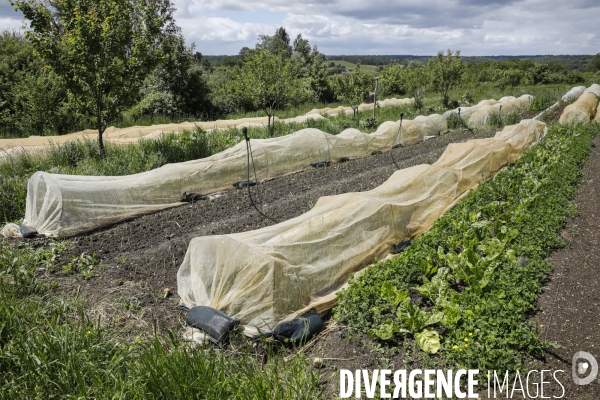 Sécurité Sociale de l Alimentation en Gironde - la MonA