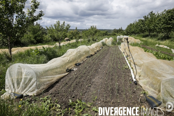 Sécurité Sociale de l Alimentation en Gironde - la MonA