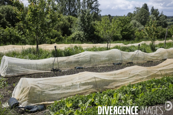 Sécurité Sociale de l Alimentation en Gironde - la MonA