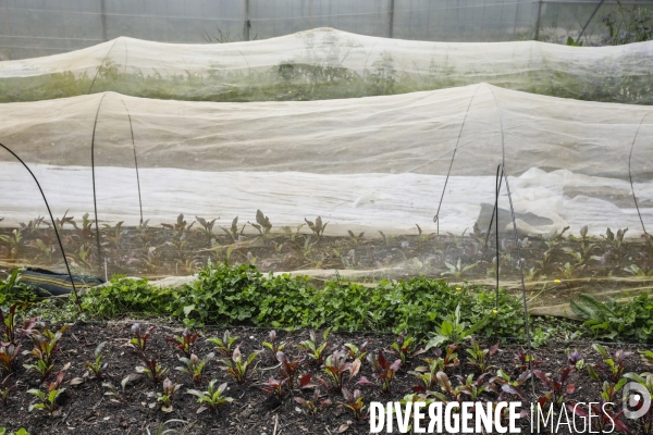 Sécurité Sociale de l Alimentation en Gironde - la MonA