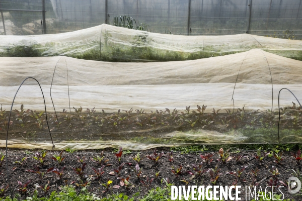 Sécurité Sociale de l Alimentation en Gironde - la MonA