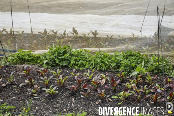 Sécurité Sociale de l Alimentation en Gironde - la MonA