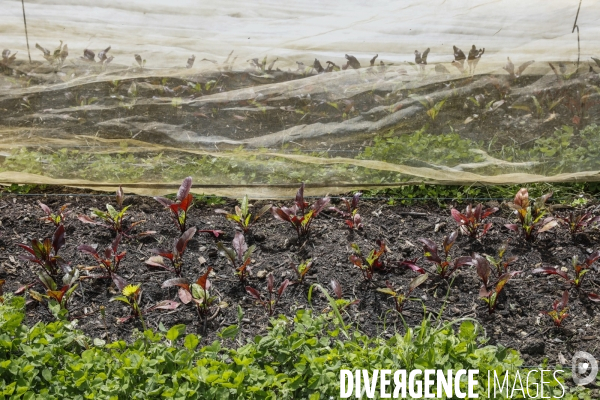 Sécurité Sociale de l Alimentation en Gironde - la MonA