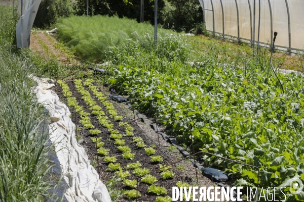 Sécurité Sociale de l Alimentation en Gironde - la MonA