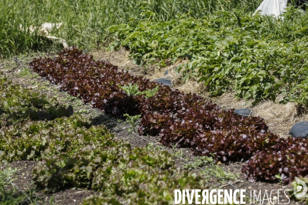 Sécurité Sociale de l Alimentation en Gironde - la MonA