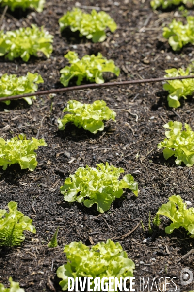 Sécurité Sociale de l Alimentation en Gironde - la MonA