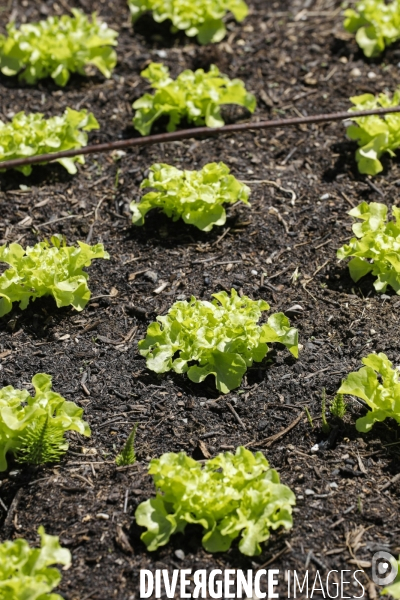 Sécurité Sociale de l Alimentation en Gironde - la MonA
