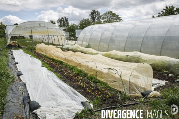 Sécurité Sociale de l Alimentation en Gironde - la MonA