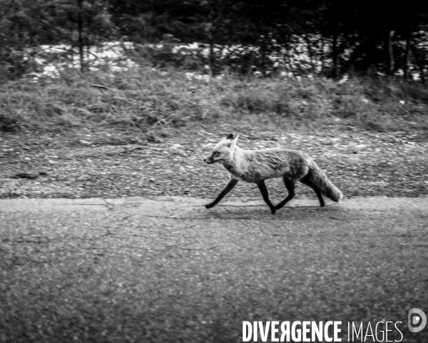 L envers de mon Hiver #2