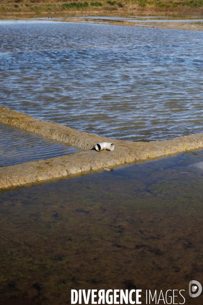 Paludier dans les marais salants de Guérande