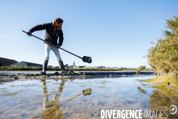 Paludier dans les marais salants de Guérande