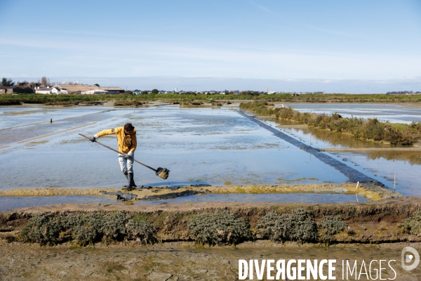 Paludier dans les marais salants de Guérande